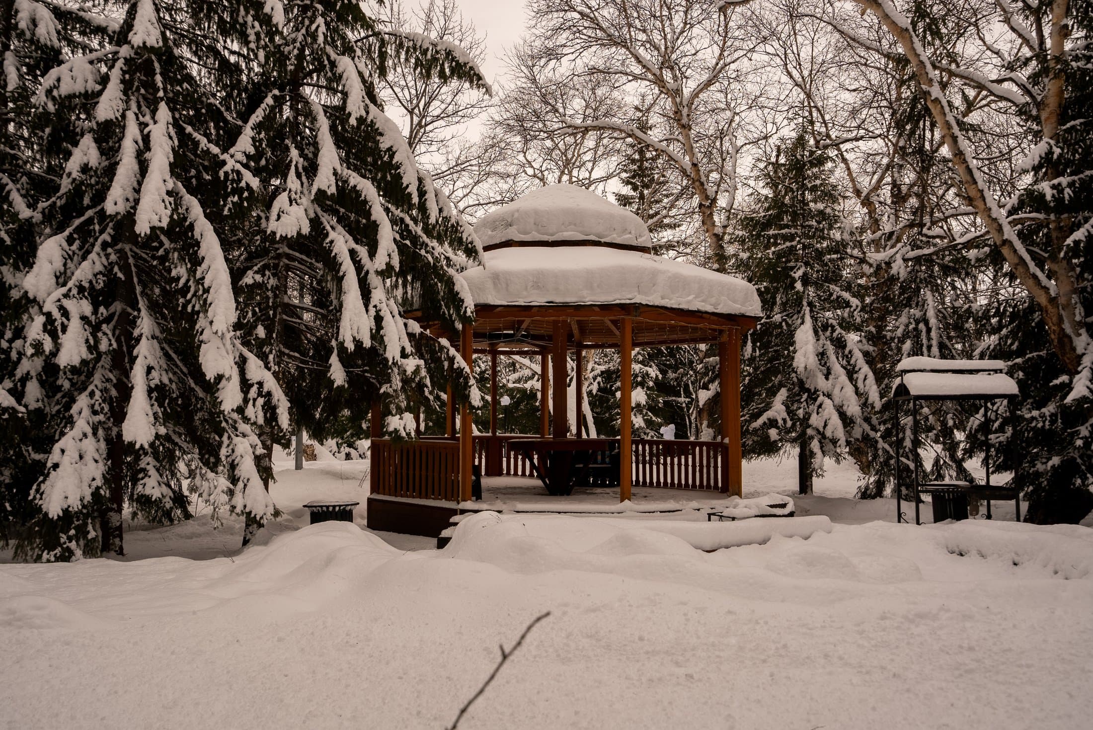 Территория комплекса